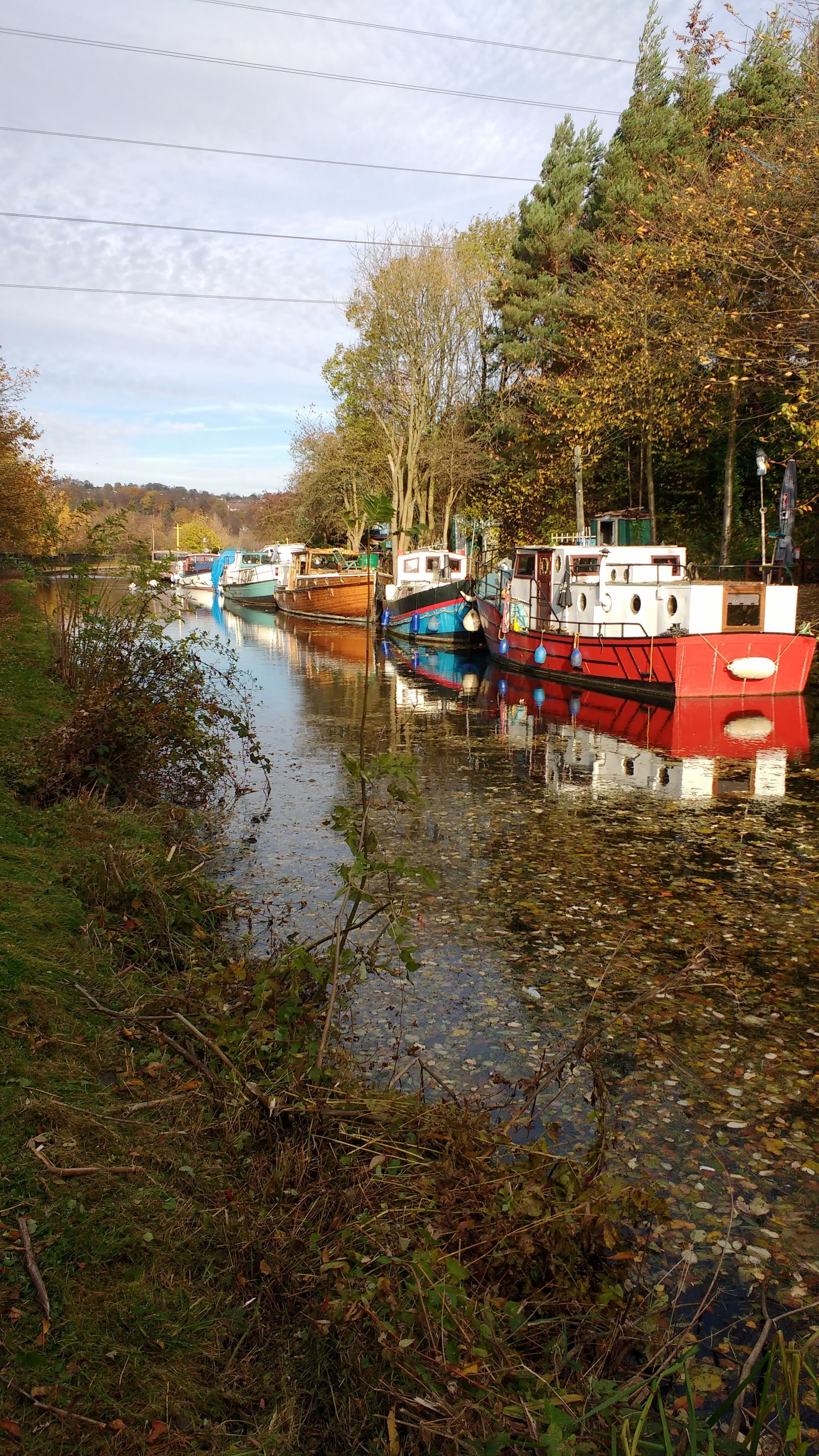 Monthly meanderings #3:  Leeds Liverpool Canal - Horsforth to Apperley Bridge