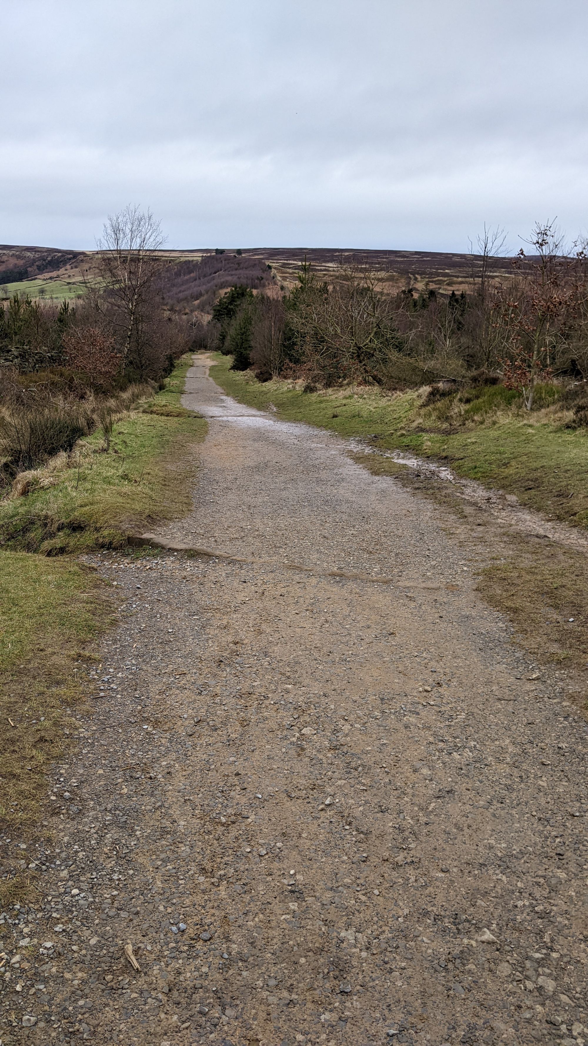 Monthly meanderings #4: Great Ayton to Roseberry Topping and Captain Cook's Monument